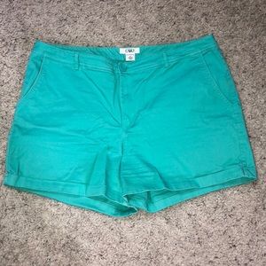 Teal Shorts